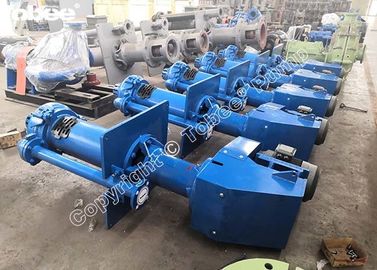 China Bomba de sumersión de husillo vertical proveedor