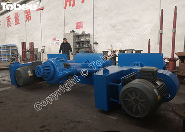 Bomba de lodo vertical para minería Tobee® 100 RV-SP para procesamiento de minerales proveedor