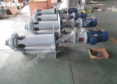 Bomba de huso vertical Sudáfrica proveedor